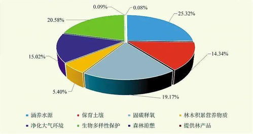 網(wǎng)絡(luò)技術(shù)服務(wù) 數(shù)字化轉(zhuǎn)型的引擎