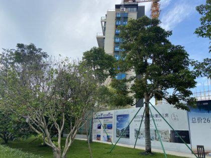 越秀明珠天悅江灣深度解析 優點、不足與市場評價